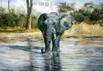 Elephants painting on canvas ANP0003